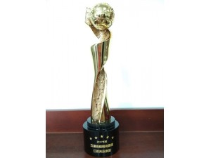 2017年度开云手机入口官网GMAC五星级经销商集团 